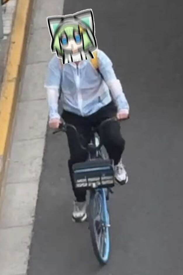 毛毛骑单车